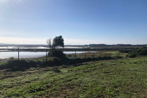 Terra a Barbate, Cadiz, Barbate - € 480.000 | Ref: vc 191 - foto 11